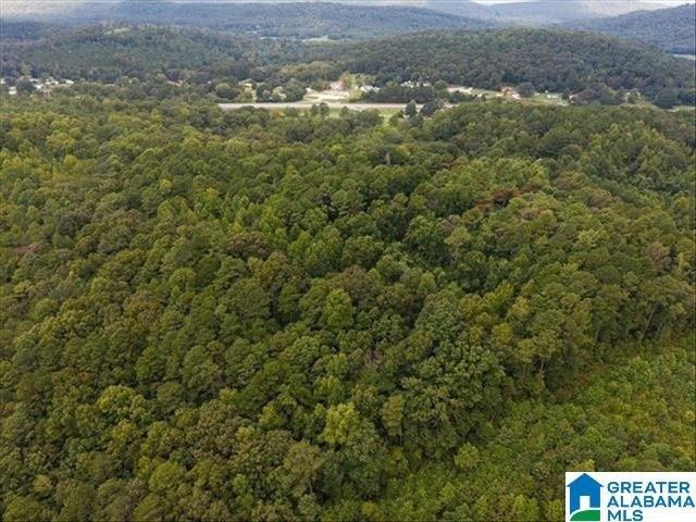 Land for sale in Blount, Alabama