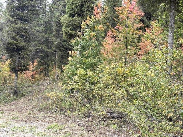 Land for sale in Star Valley Ranch, Lincoln County
