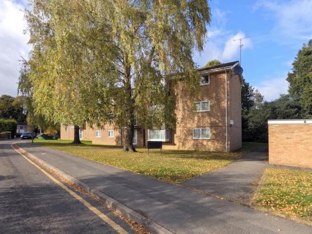 Apartment for rent in Sunningdale