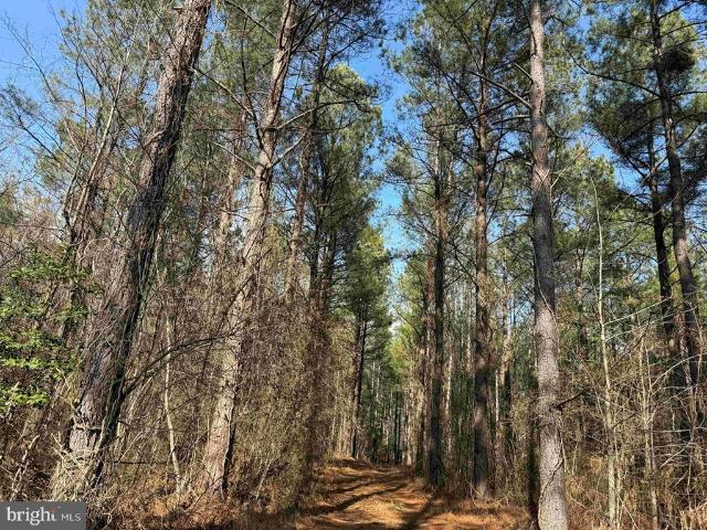 Land for sale in Virginia