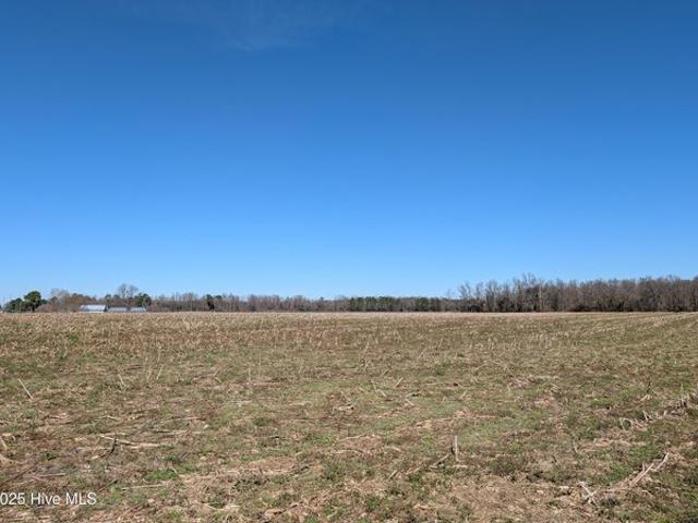 Farm for sale in Beulaville, North Carolina