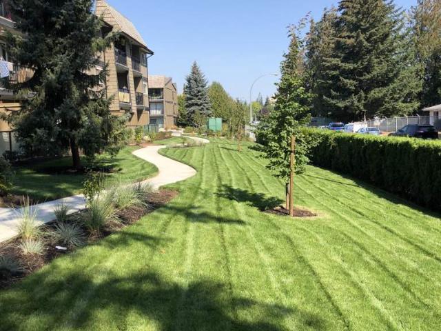 Apartment for rent in Abbotsford