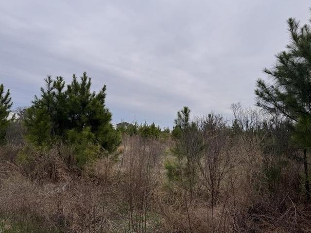 Land for sale in Virginia