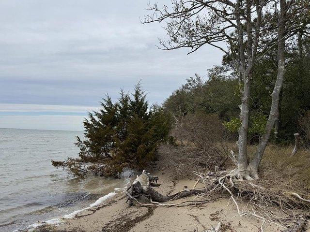 Land for sale in Virginia