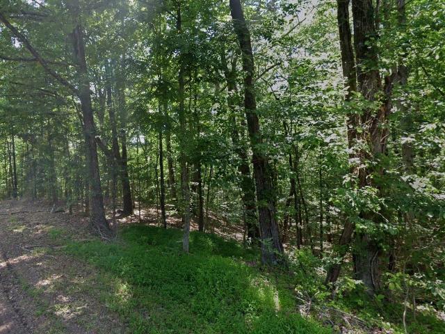 Land for sale in Tennessee
