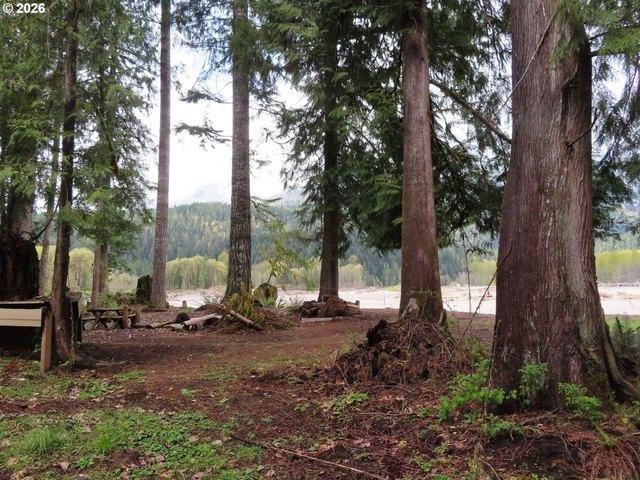 Land for sale in Glenoma, Washington