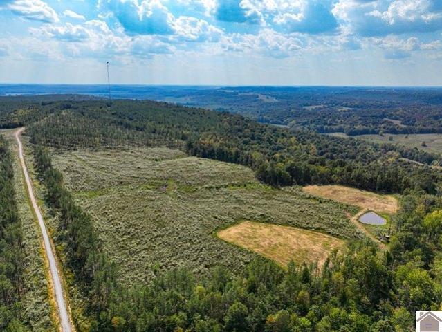 Farm for sale in Salem, Kentucky