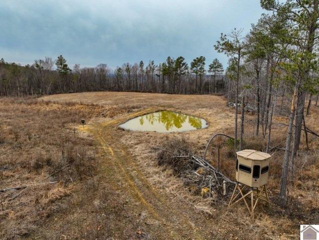 Farm for sale in Salem, Kentucky