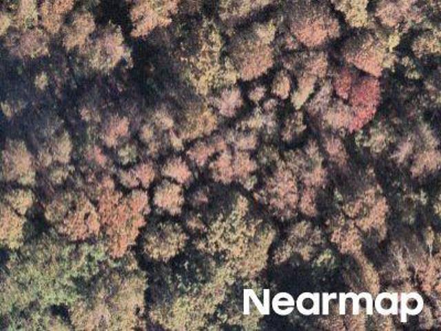 Land for sale in South Carolina