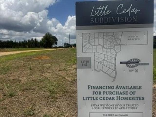 Land for sale in Lucedale, Mississippi