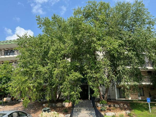 Condo for sale in Hennepin, Minnesota