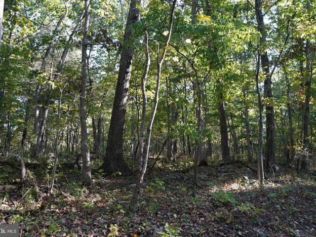 Land for sale in Scrabble, Martinsburg