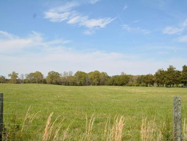 Land for sale in Farmville Land for sale in Farmville