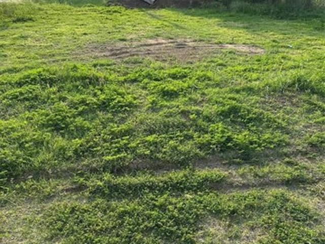 Land for sale in Frisco, Texas