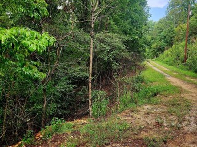 Land for sale in Tennessee