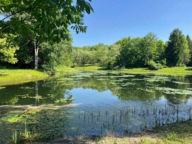 Land for sale in Varysburg Land for sale in Varysburg