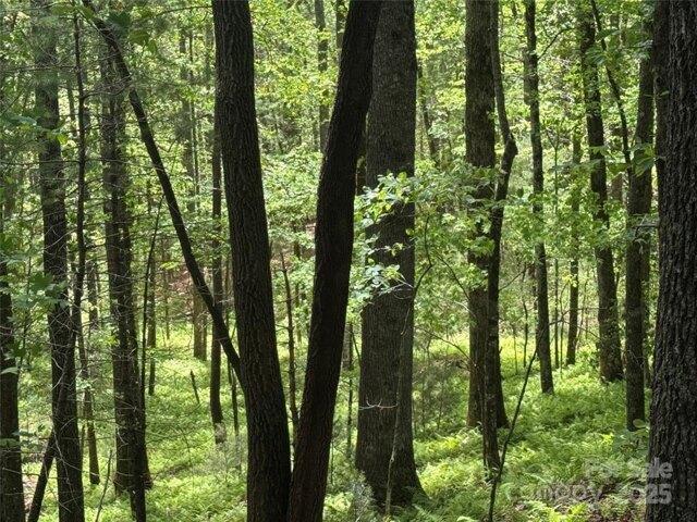 Land for sale in Cedar Mountain, North Carolina