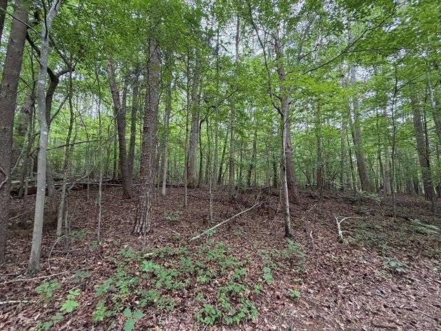 Land for sale in Virginia