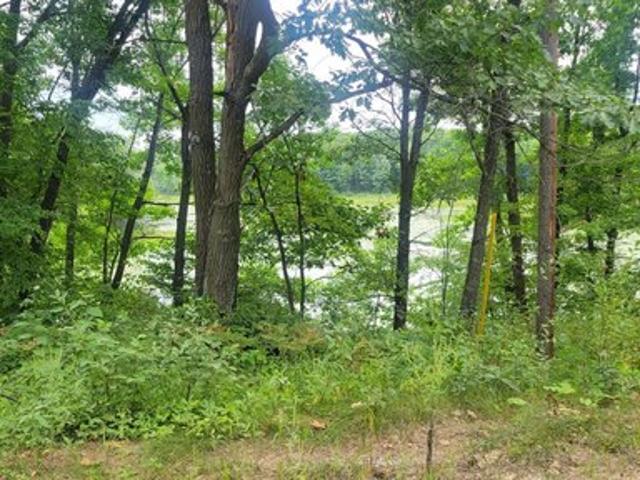 Land for sale in Morrison, Minnesota