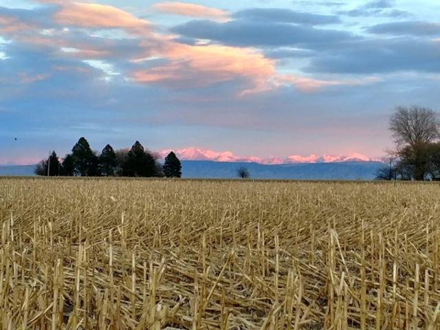 Farm for sale in Delta, Colorado