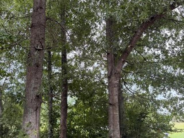 Land for sale in Mccomb, Mississippi