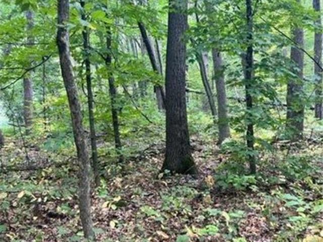Land for sale in Morrison, Minnesota