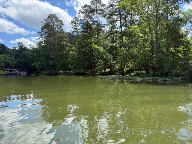 Land for sale in Sparta, Georgia
