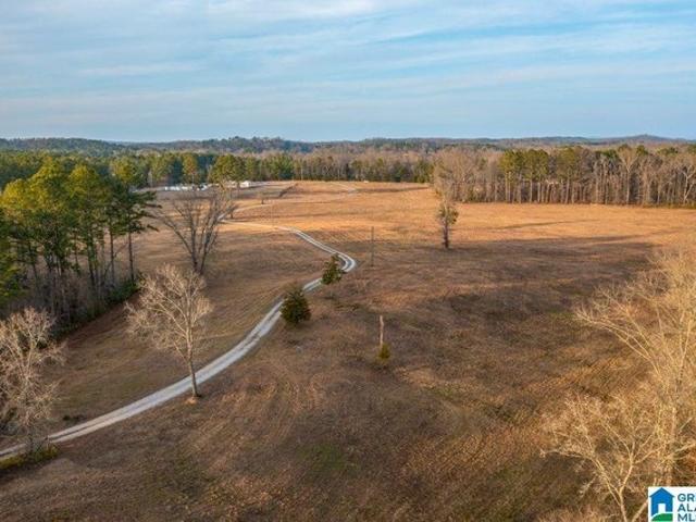 Land for sale in Jacksonville, Calhoun County