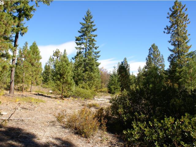 Land for sale in Goldendale, Washington