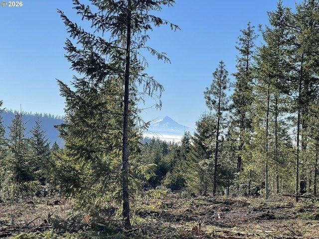 Land for sale in Goldendale, Washington