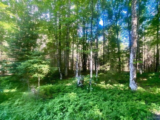 Land for sale in Arnold, Michigan