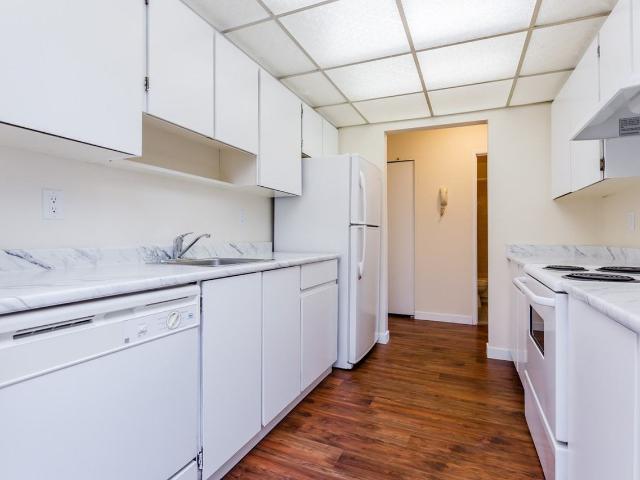 Apartment for rent in Port Coquitlam, British Columbia