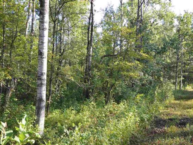 Land for sale in Mancelona, Michigan