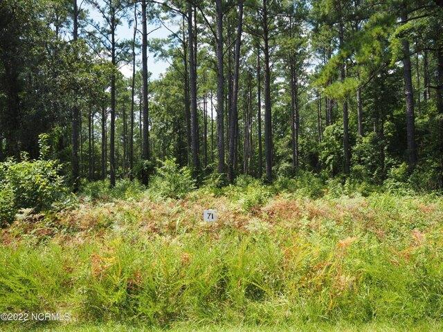 Land for sale in Havelock
