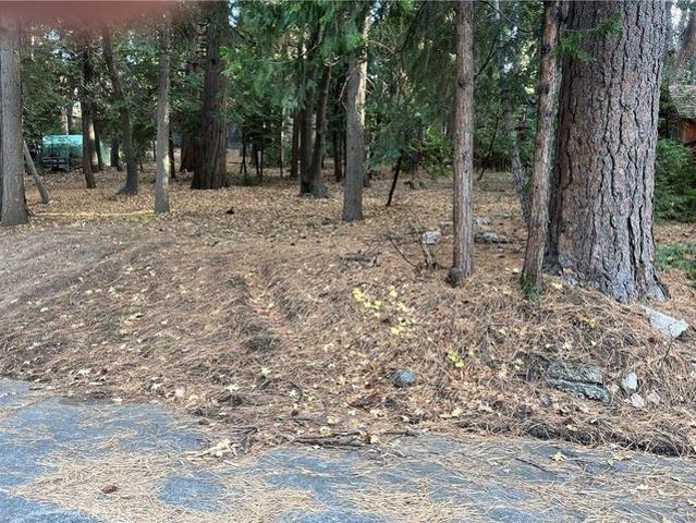 Land for sale in Green Valley Lake, California