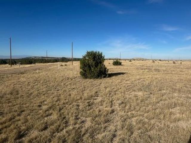 Land for sale in Rye, Colorado