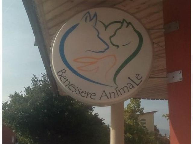 Locale Commerciale in affitto a Comunità della Vallagarina, Borgo Sacco