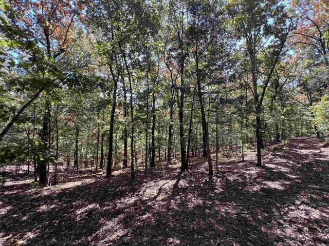 Land for sale in Ark