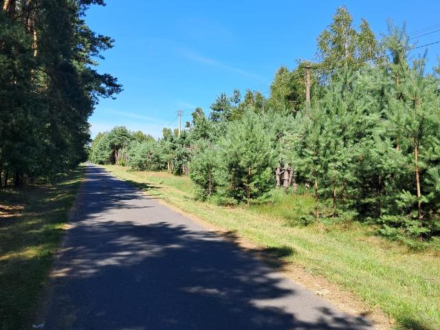 Grunt na sprzedaż w Ceków-kolonia, Wielkopolskie