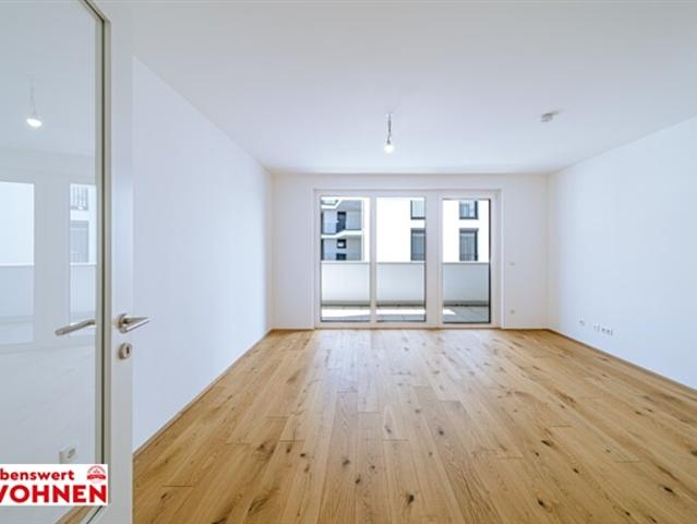 Wohnung mieten in Wiener Neustadt, Niederösterreich