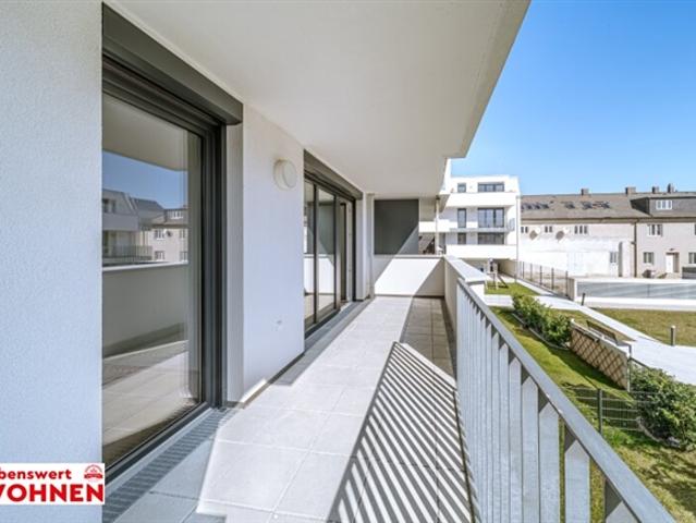 Wohnung mieten in Wiener Neustadt, Niederösterreich