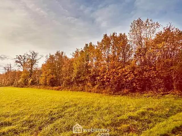 Terrain vente à Celle-l'Évescault, Celle-Lévescault