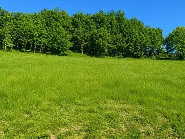 Terrain vente à Périgueux, Celles