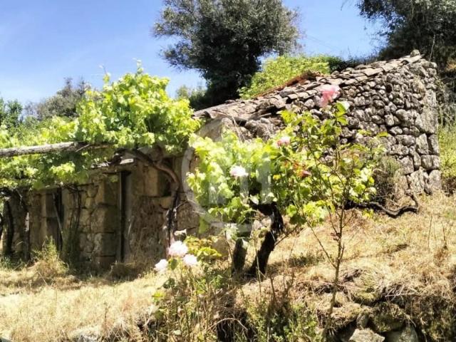 Terreno venda em Guarda, Celorico Da Beira