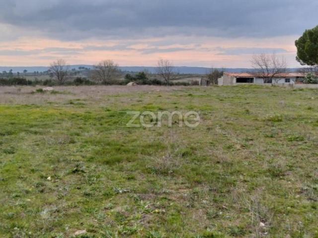 Terreno venda em Guarda, Celorico Da Beira