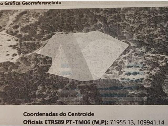 Terreno venda em Guarda, Celorico Da Beira