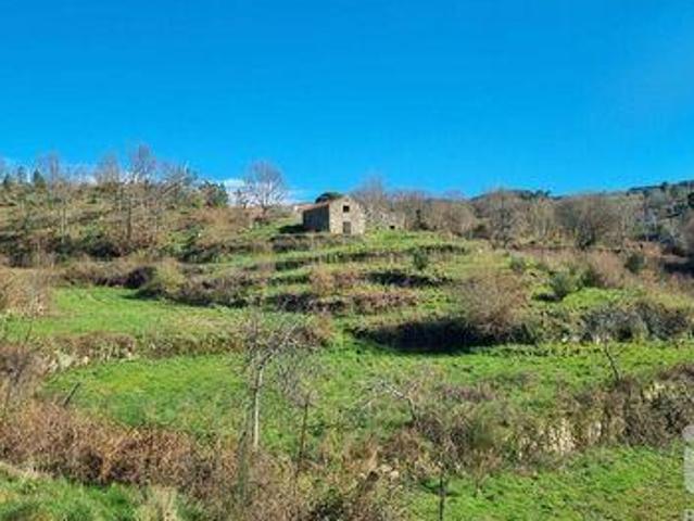 Terreno venda em Guarda, Celorico Da Beira