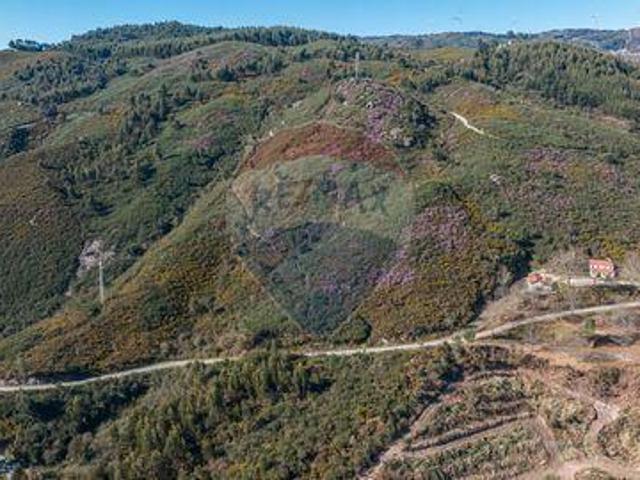 Terreno venda em Celorico De Basto, Braga