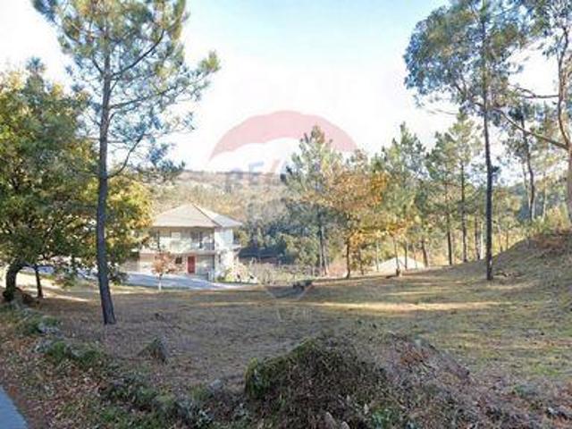 Terreno venda em Celorico De Basto, Braga