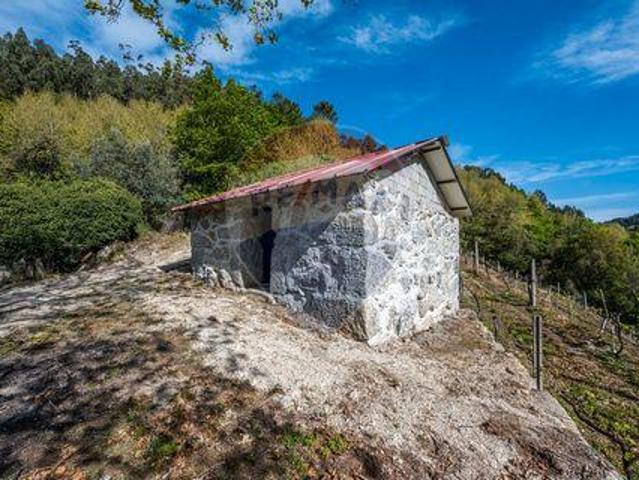 Terreno venda em Celorico De Basto, Braga